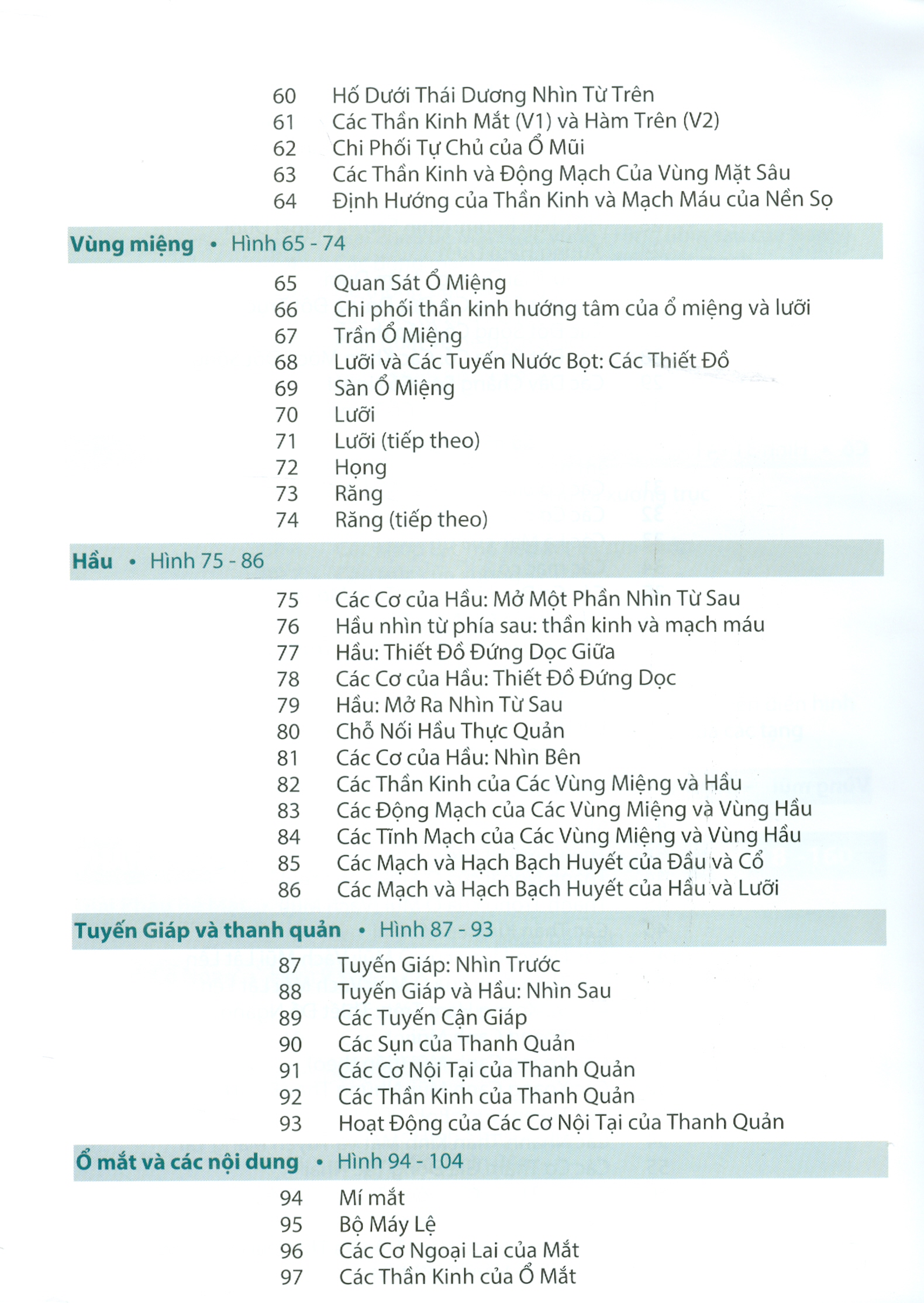 ATLAS GIẢI PHẪU NGƯỜI - In Lần Thứ IV (năm 2022) Theo Ấn Phẩm Lần Thứ VII Của Nxb Elsevier Có Sửa Chữa Và Bổ Sung (ATLAS OF HUMAN ANATOMY  Seventh Edition)