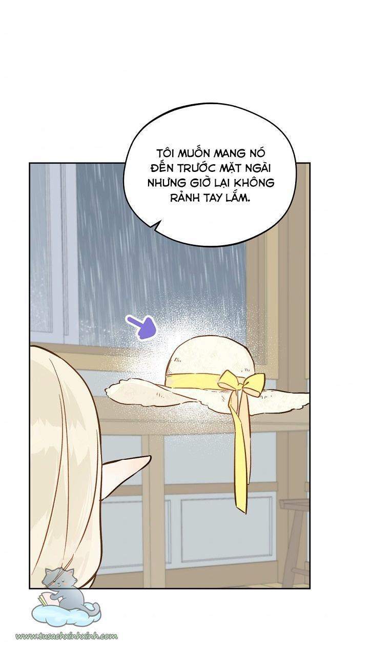 trang trại hạt dẻ cạnh hoàng cung chapter 19 44