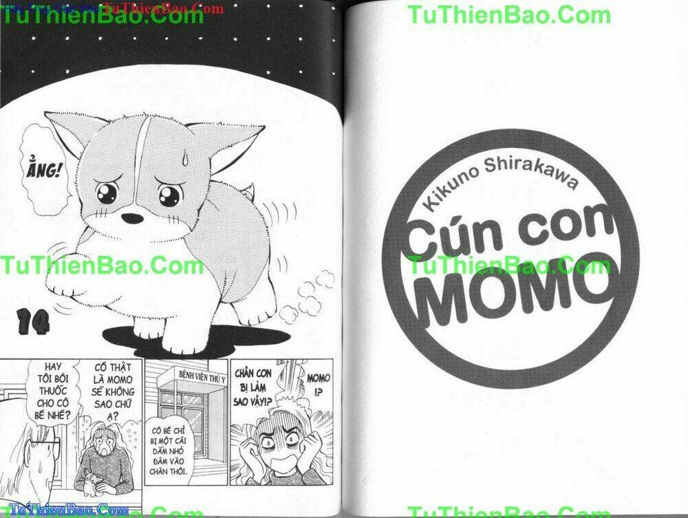 chó con mo mo chapter 5 50