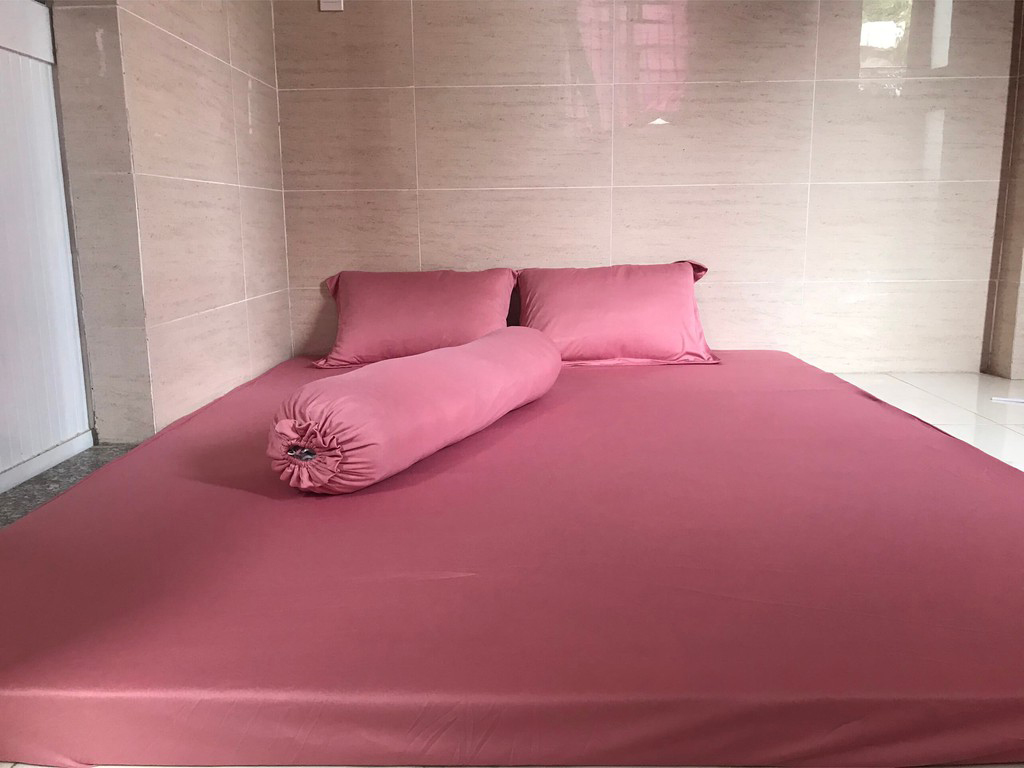Bộ 4 Món Ga Gối Thun Mát Mềm Cao Cấp Màu Hồng Ruốc Mềm Mịn Thấm Hút Mồ Hôi Tốt - Vải Thun Lạnh Hàn Quốc Loại 1