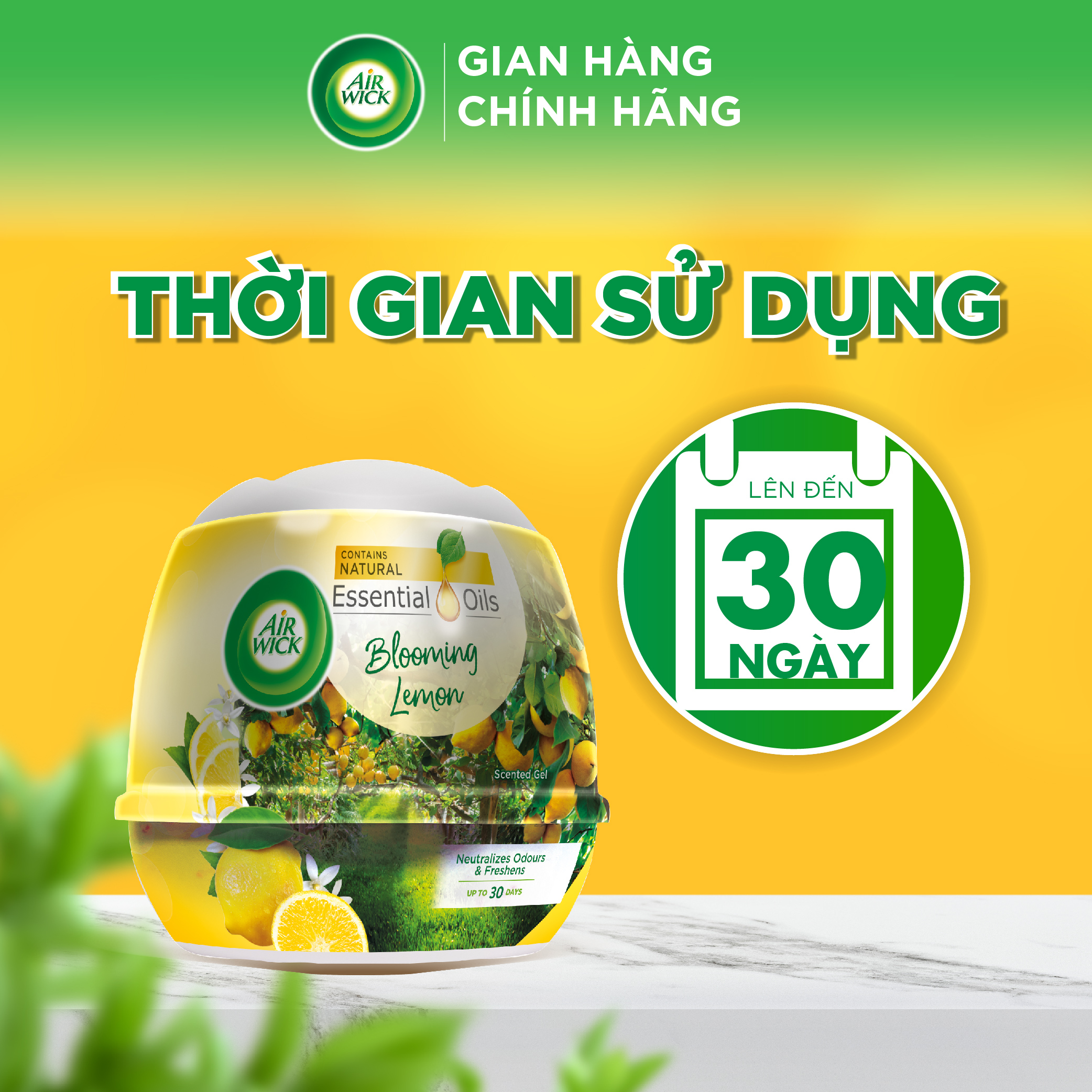 Sáp Thơm Phòng AIRWICK (Anh Quốc) | Khử Mùi Hiệu Quả - Hương Thơm Thiên Nhiên (180g)