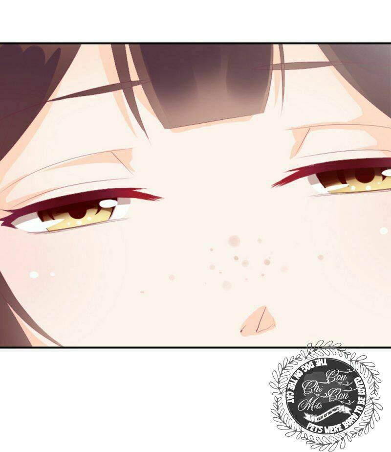 the queen note chapter 4 41