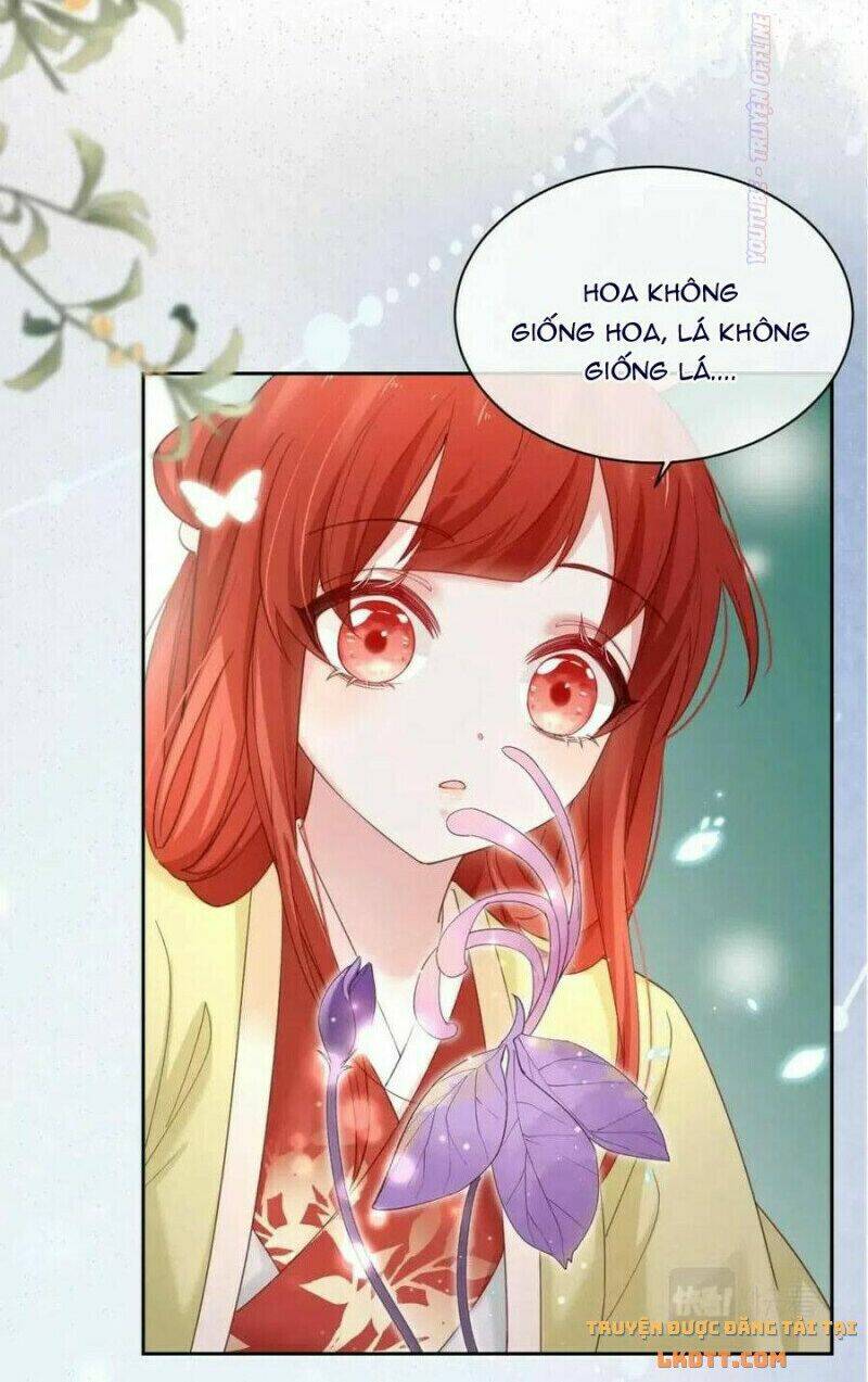 hắc hóa nam chính trực tuyến nuôi thỏ chapter 52 5