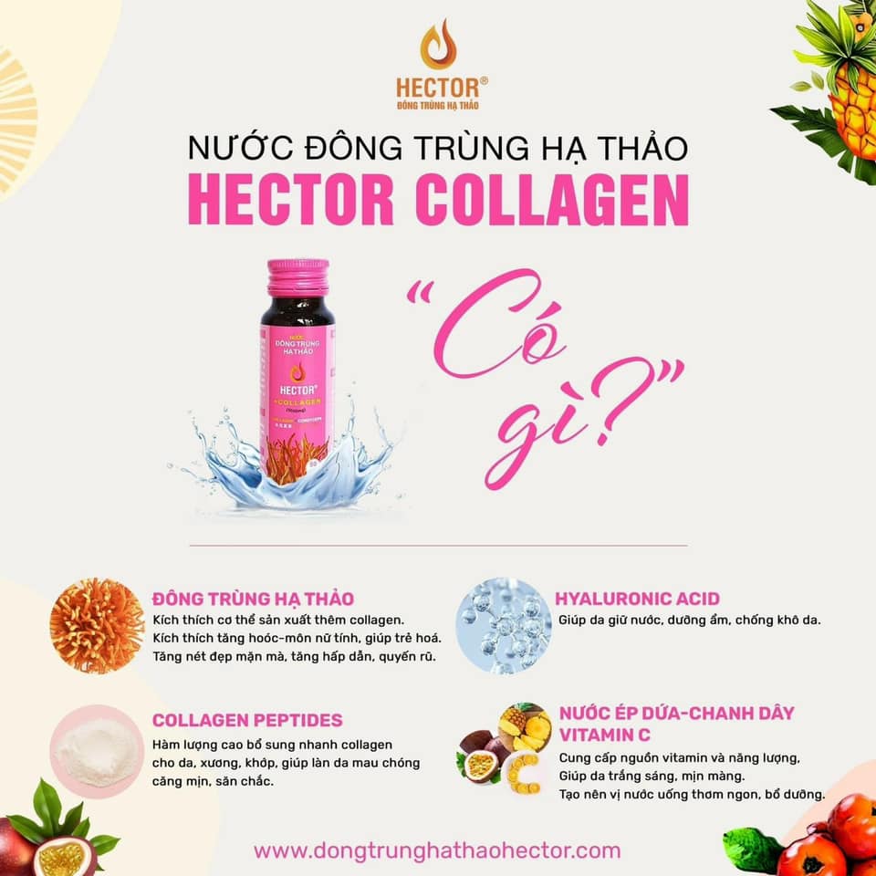 Combo 6 Hộp (60 Chai) Nước Đông Trùng Hạ Thảo Hector Collagen (Tiết kiệm 180k)