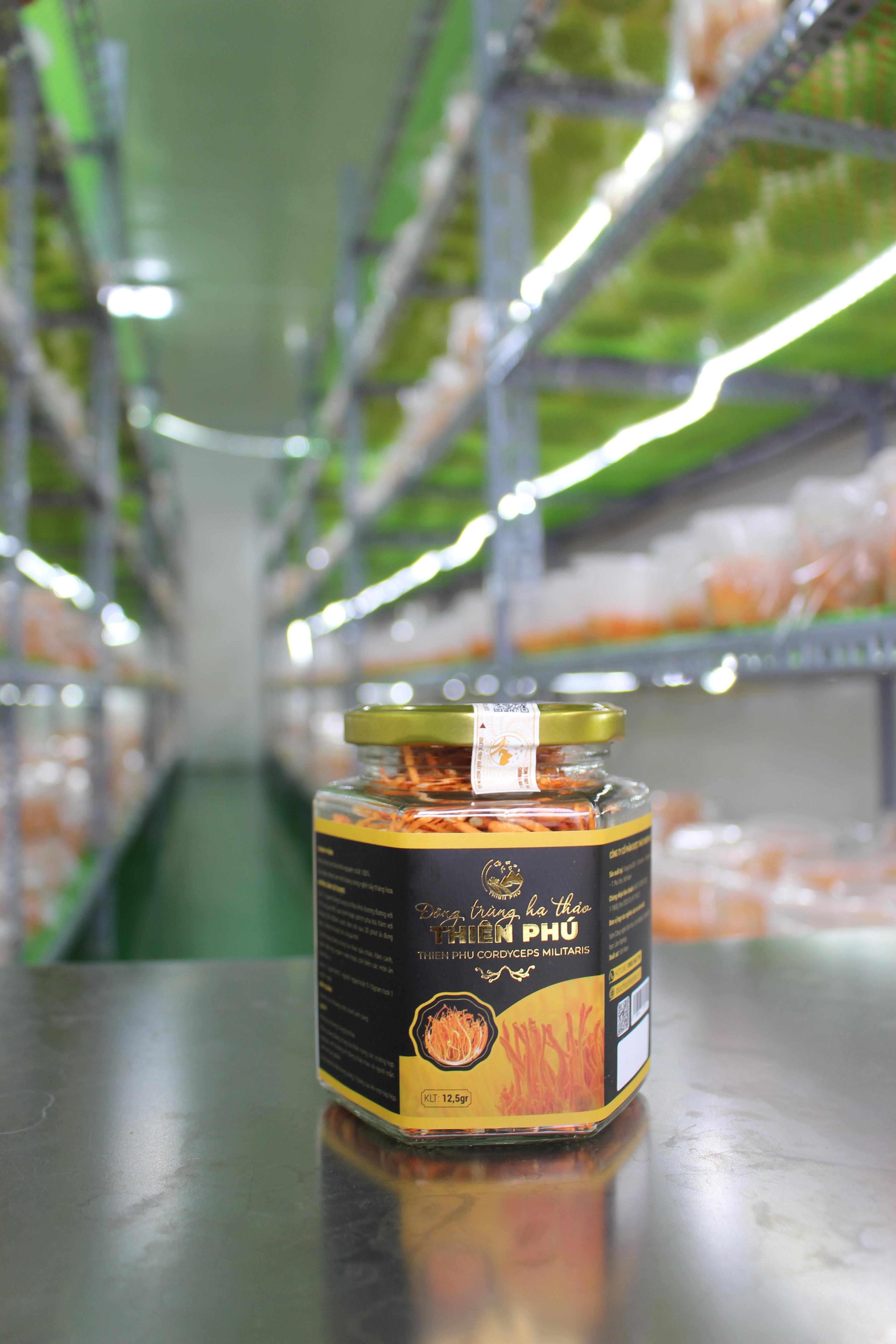 Đông trùng hạ thảo sấy thăng hoa- 12,5g