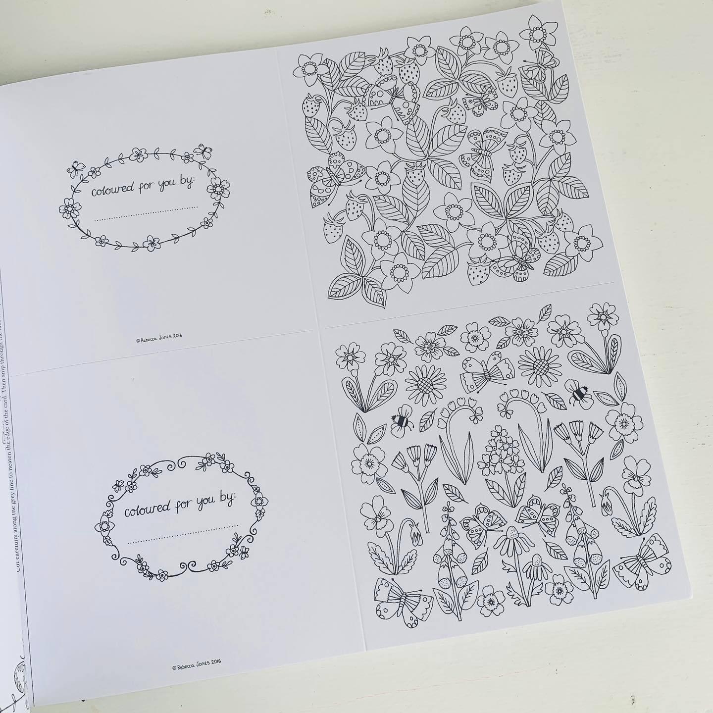 National Trust: The Colouring Book of Cards and Envelopes - Flowers and Butterflies