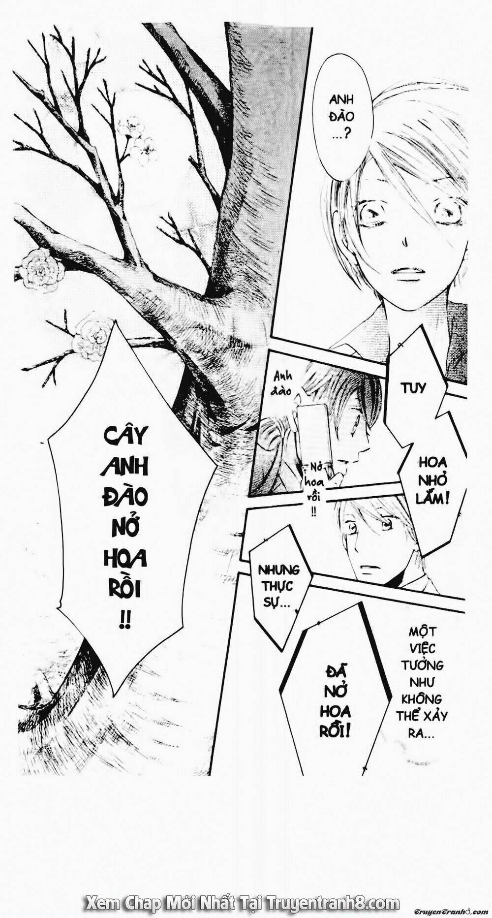 tiểu thư sachie chapter 48 16