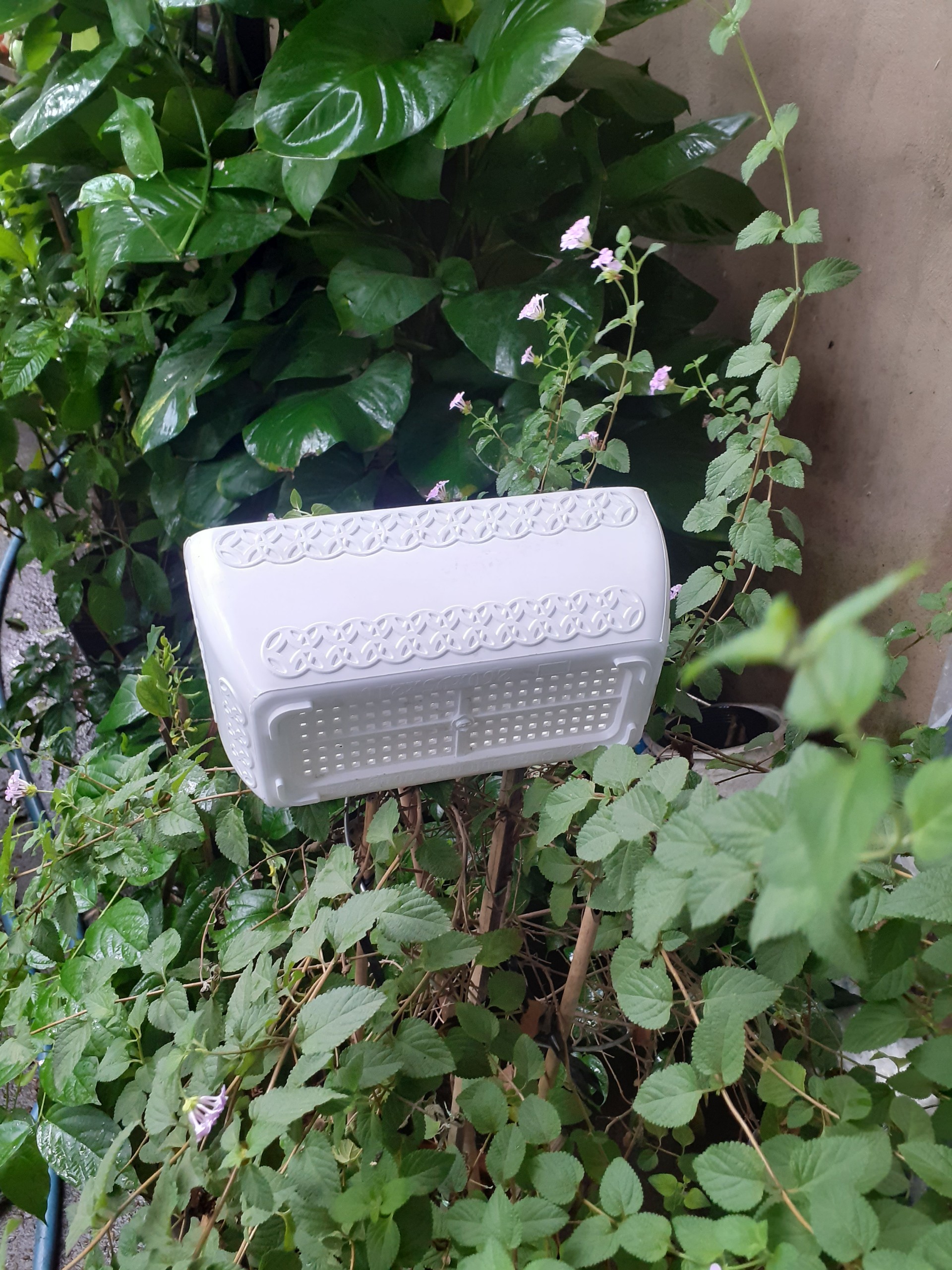 1 Cái chậu nhựa trồng cây hình chữ nhật đồng tiền