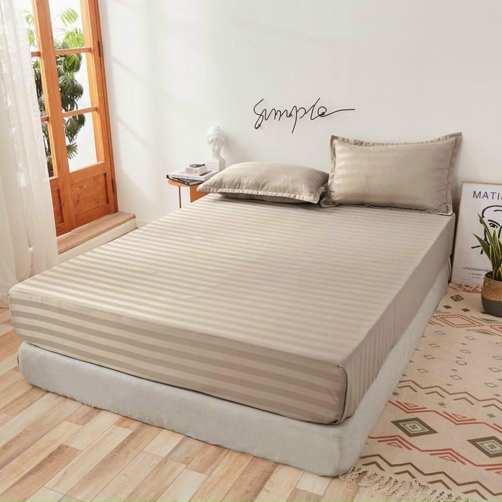 Bộ Ga Gối Cotton Lụa Sọc 3F Lụa Bóng - LAN PHAM BEDDING - Nâu