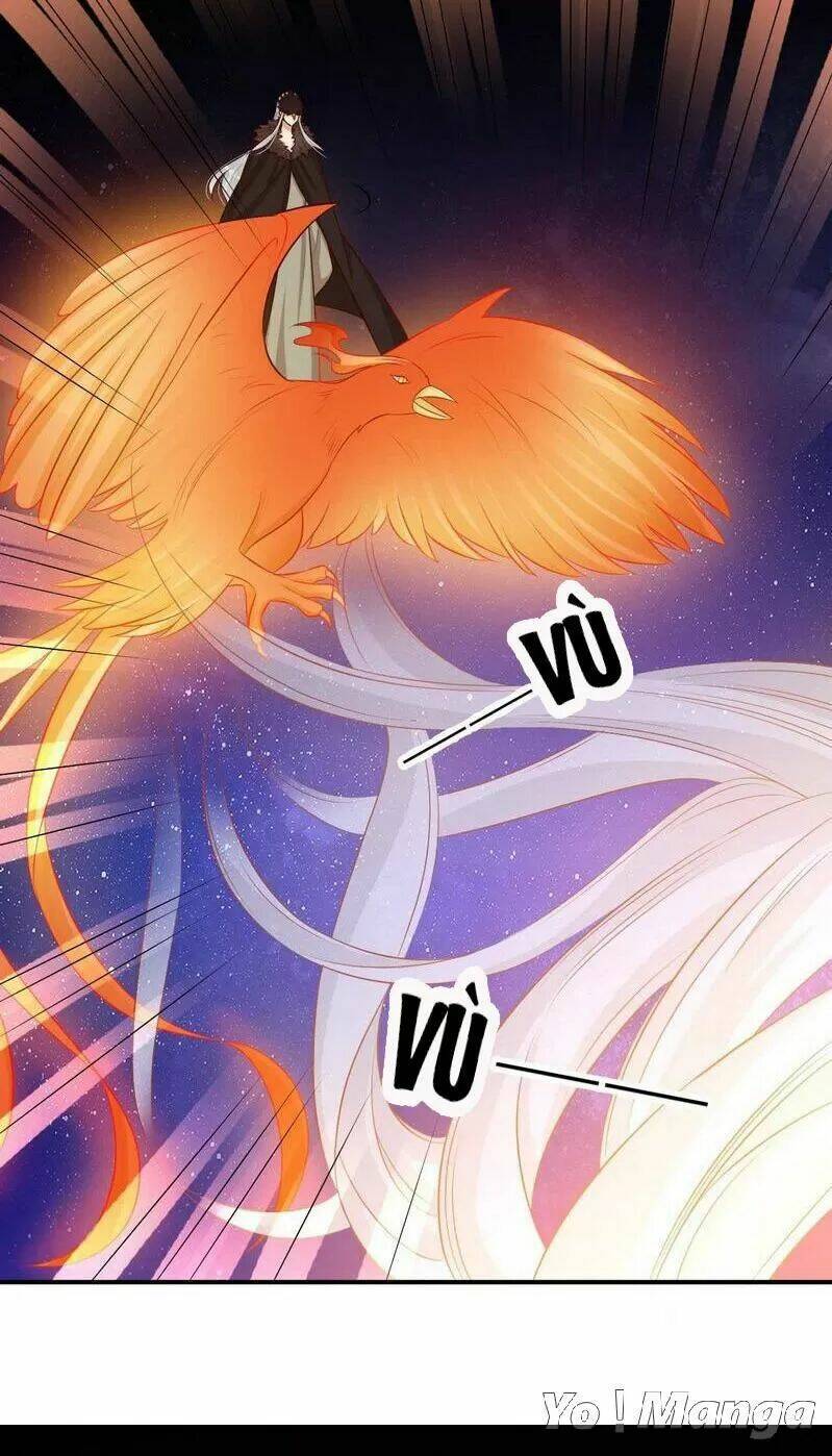 độc y cuồng phi chapter 74 22
