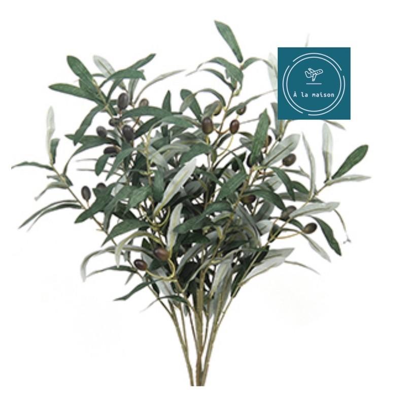 Cành lá olive có quả trang trí nhà, hoa decor chụp ảnh cao cấp