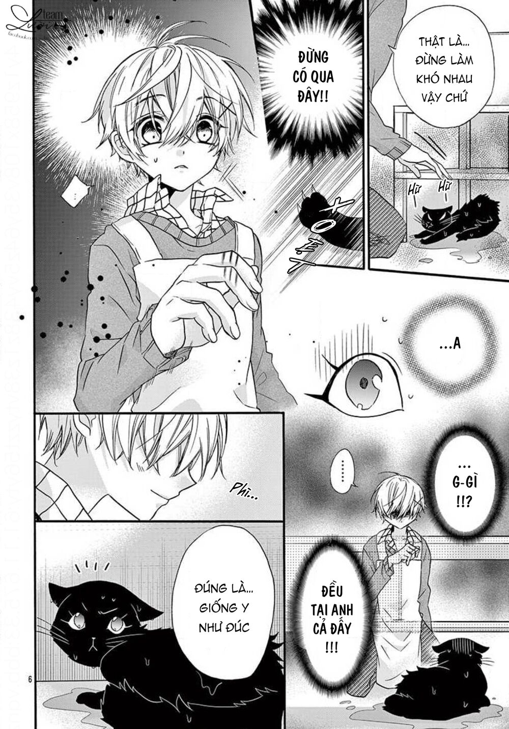 chàng rể giả nhân giả nghĩa chapter 20.5 6