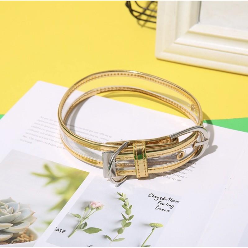 Vòng cổ cao cấp cho thú cưng ️️