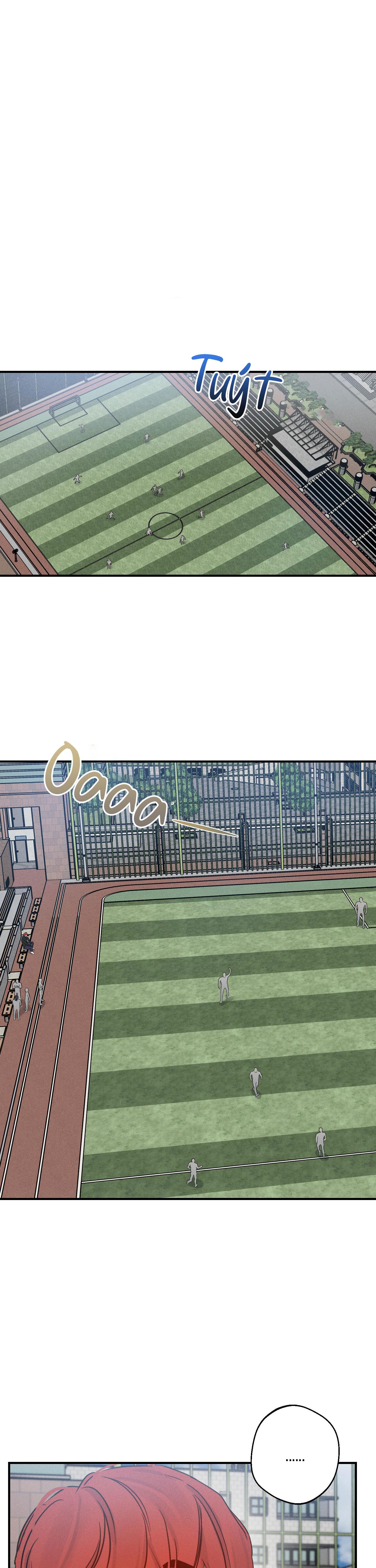 high clear chapter 31 3