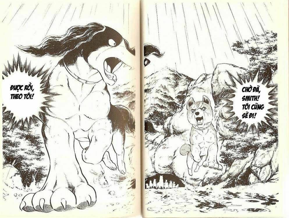 chú chó có nghĩa - ginga nagareboshi gin chapter 13 10
