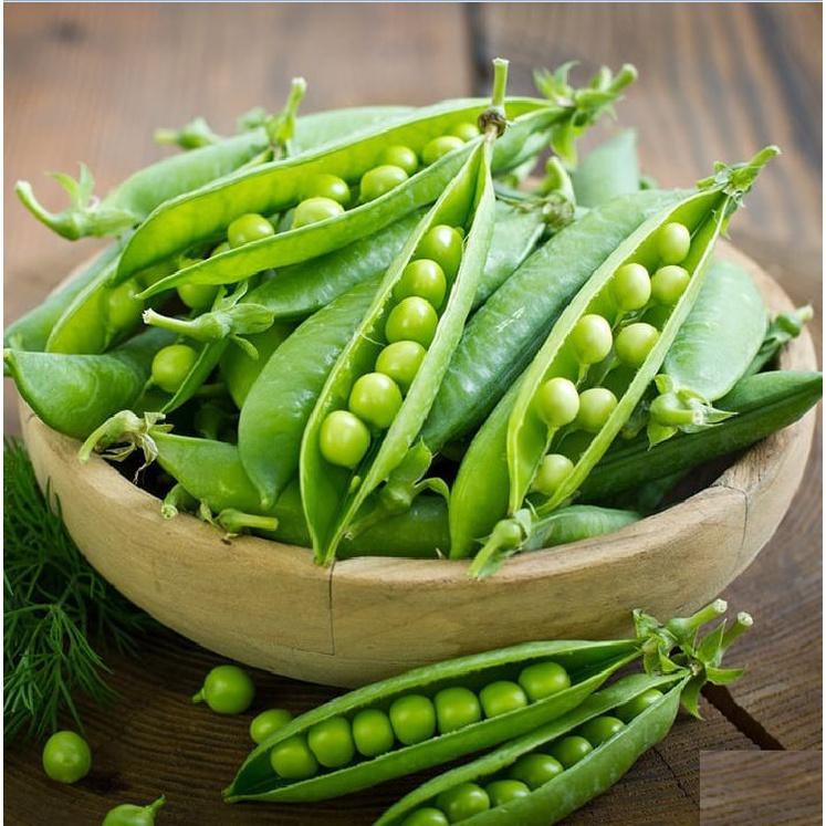 Hạt Giống Đậu Hà Lan - Gói 1Kg