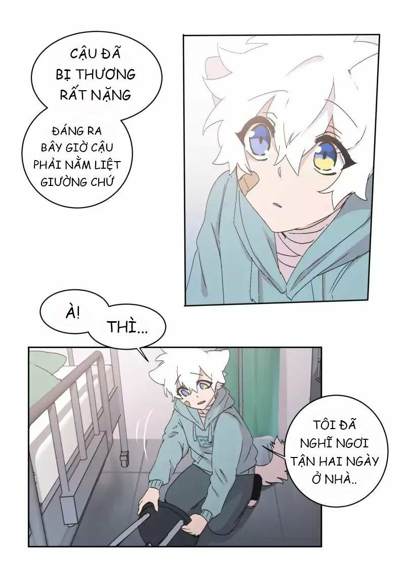 lumine - cội nguồn ánh sáng chapter 31 20