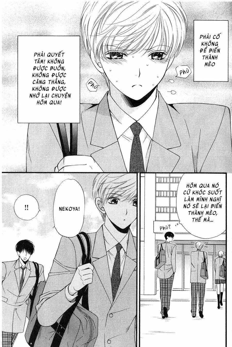 neko neko honey chapter 12 5