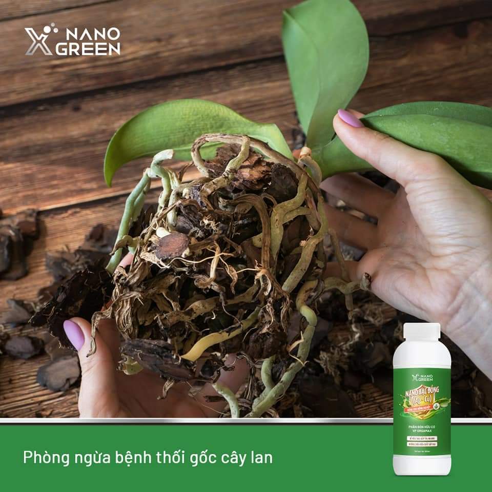 NANO BẠC ĐỒNG (Ag-Cu) PHÂN BÓN NANO XGREEN NÔNG NGHIỆP 100ML HẠN CHẾ NẤM, KHUẨN, BỆNH VÀNG LÁ, THỐI RỄ, XÌ MỦ THÂN-AHT CORP