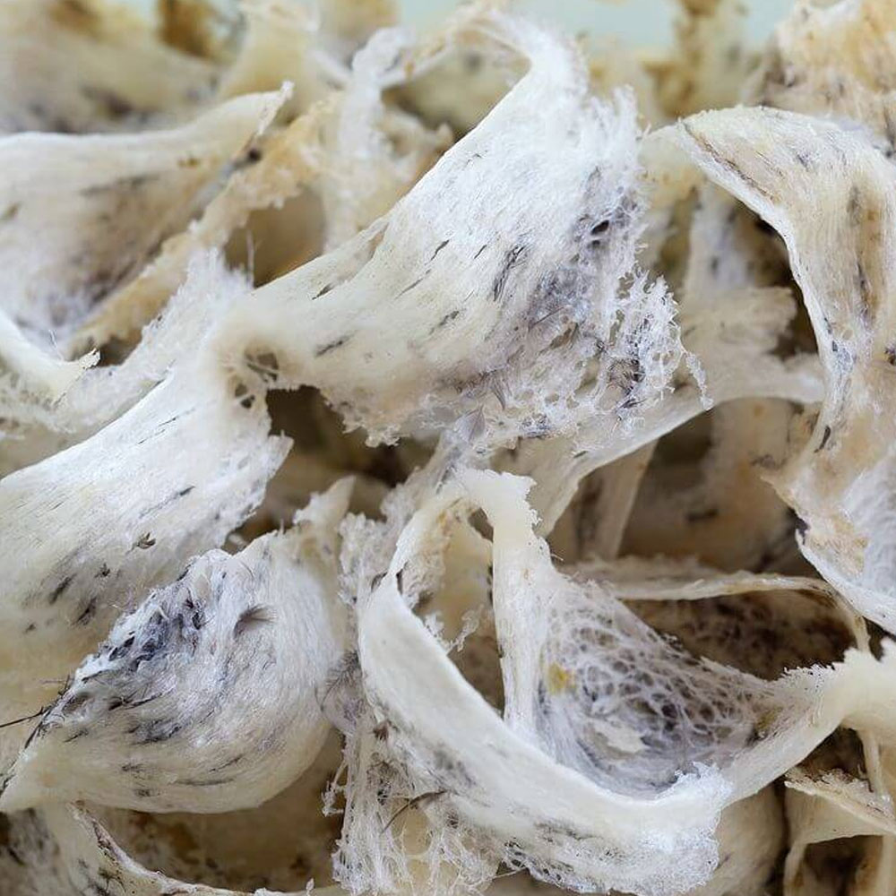 Tổ Yến Thô loại 50 gram- YẾN SÀO BA MIỀN- Tăng cường hệ miễn dịch, Cải thiện tiêu hóa và thèm ăn, Tăng cường phát triển trí não cho bé, Thúc đẩy quá trình lành vết thương, Cung cấp năng lượng &amp; Khôi phục vẻ rạng rỡ