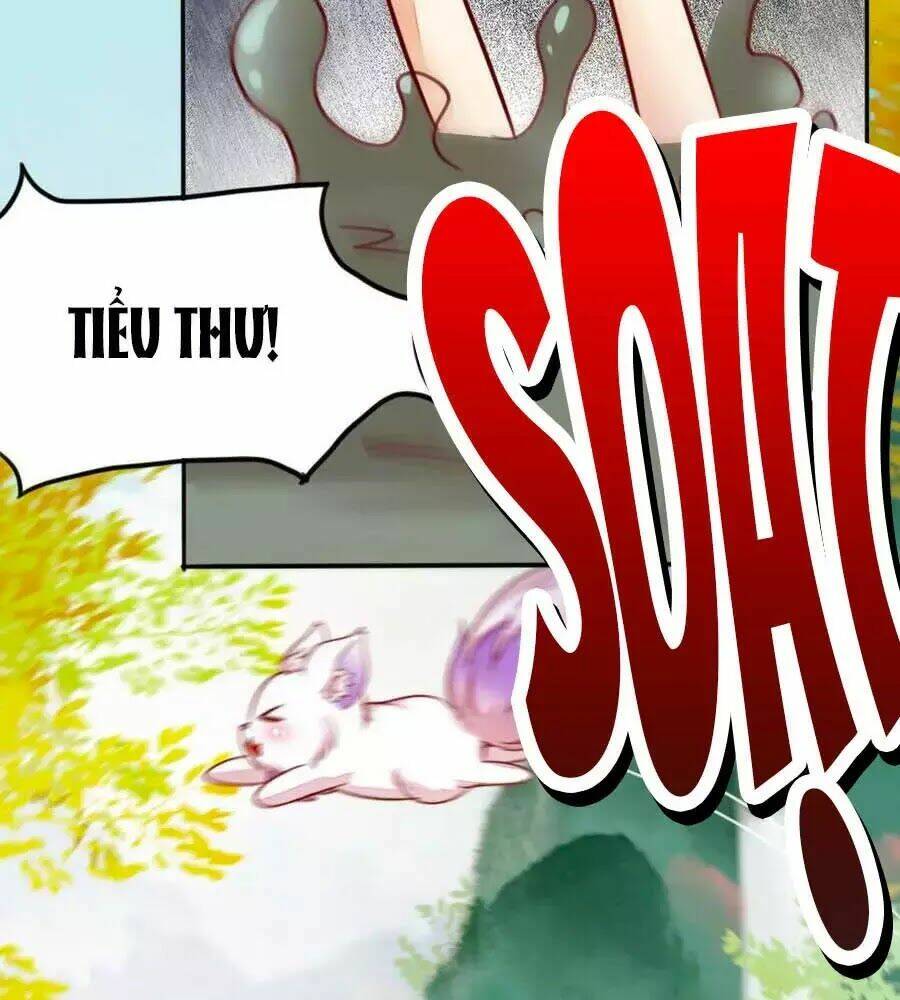 thần y khí nữ: ngự thú cuồng phi của quỷ đế chapter 65 61