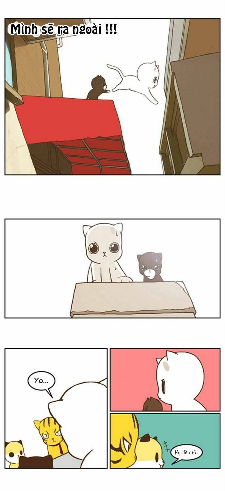 papi nyang chapter 16 10