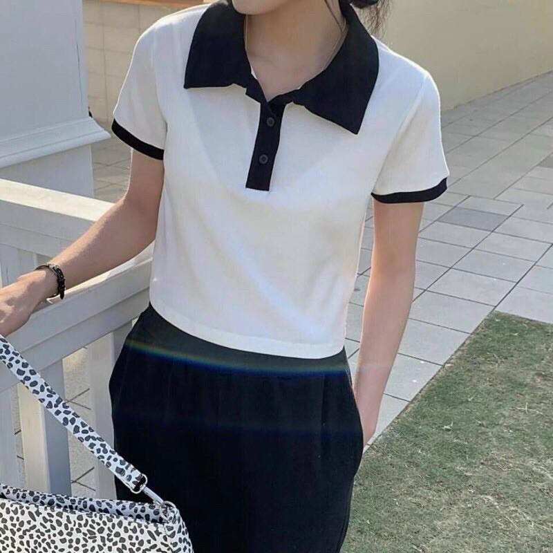 Áo croptop rộng cổ trụ phối màu basic - AO053