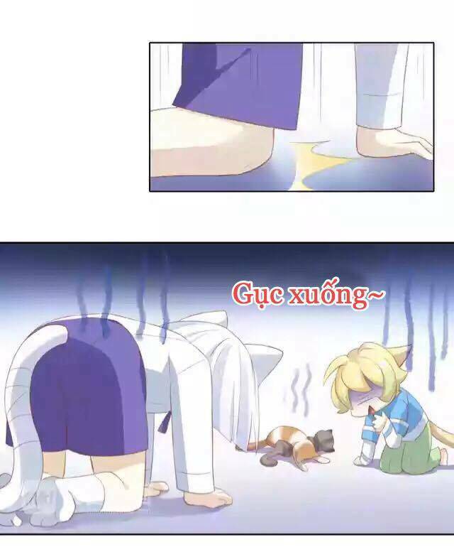 dưới móng vuốt mèo chapter 12 34