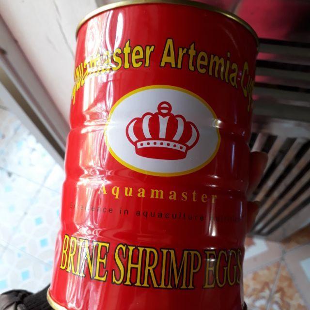 Artemia Lon Đỏ - Trứng Atermia Ấp Nở