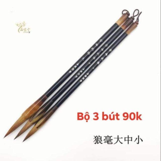 Bộ 3 Bút lang hào lông sói