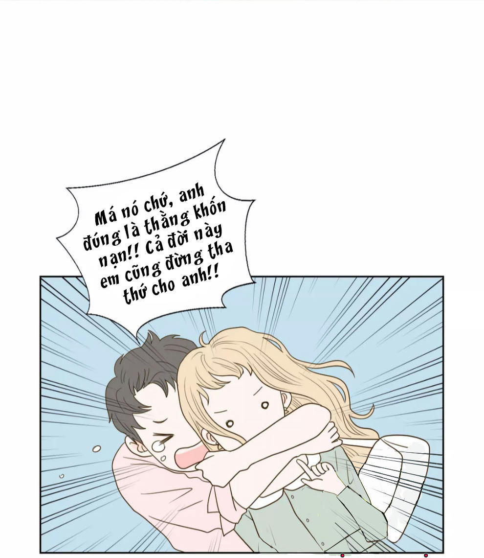 honey bed talk chapter 31 19