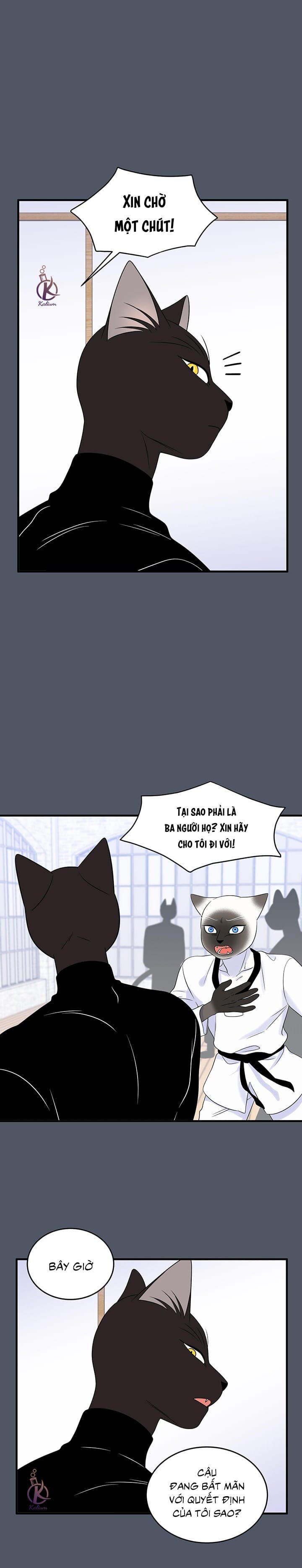 dự án xanh chapter 40 16