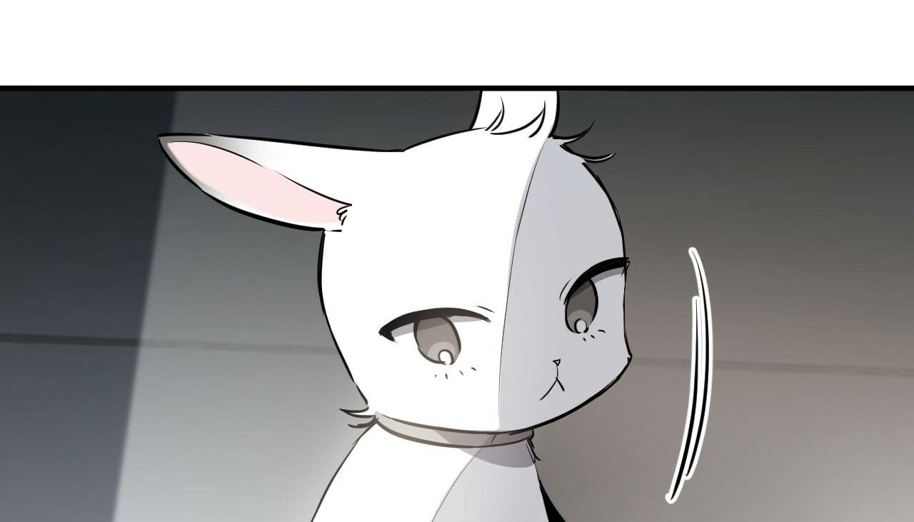 đàn thỏ của habibi chapter 47 61