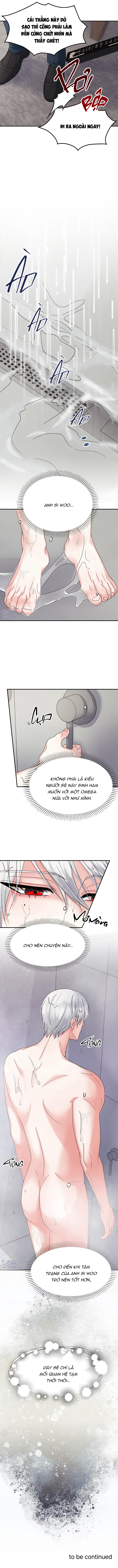 kiện thỏ này nhận miễn đổi trả chapter 6 8