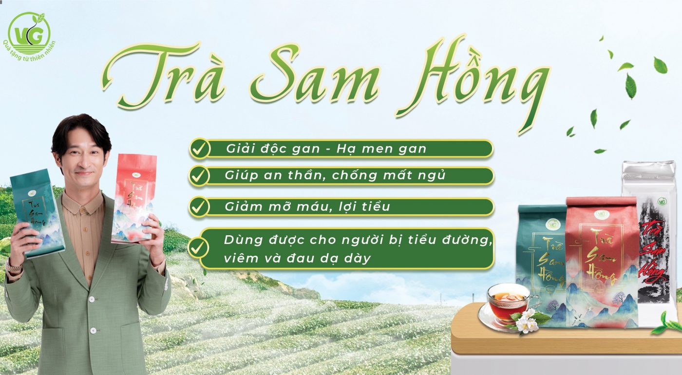 TRÀ SÂM HỒNG THƯỢNG HẠNG GÓI (500Gam) TRÀ VG