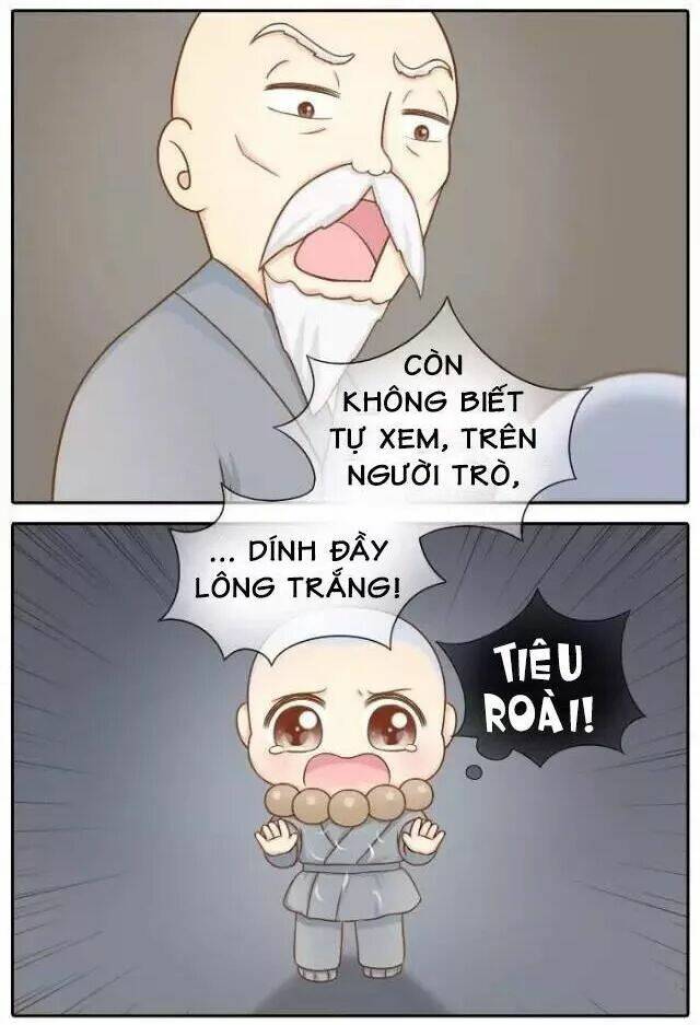 tiểu hồ ly vs tiểu hóa thượng chapter 71 8