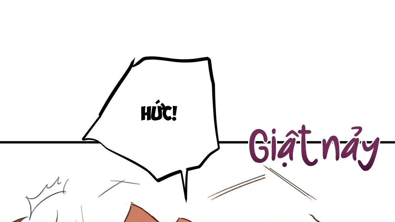 đàn thỏ của habibi chapter 33 156