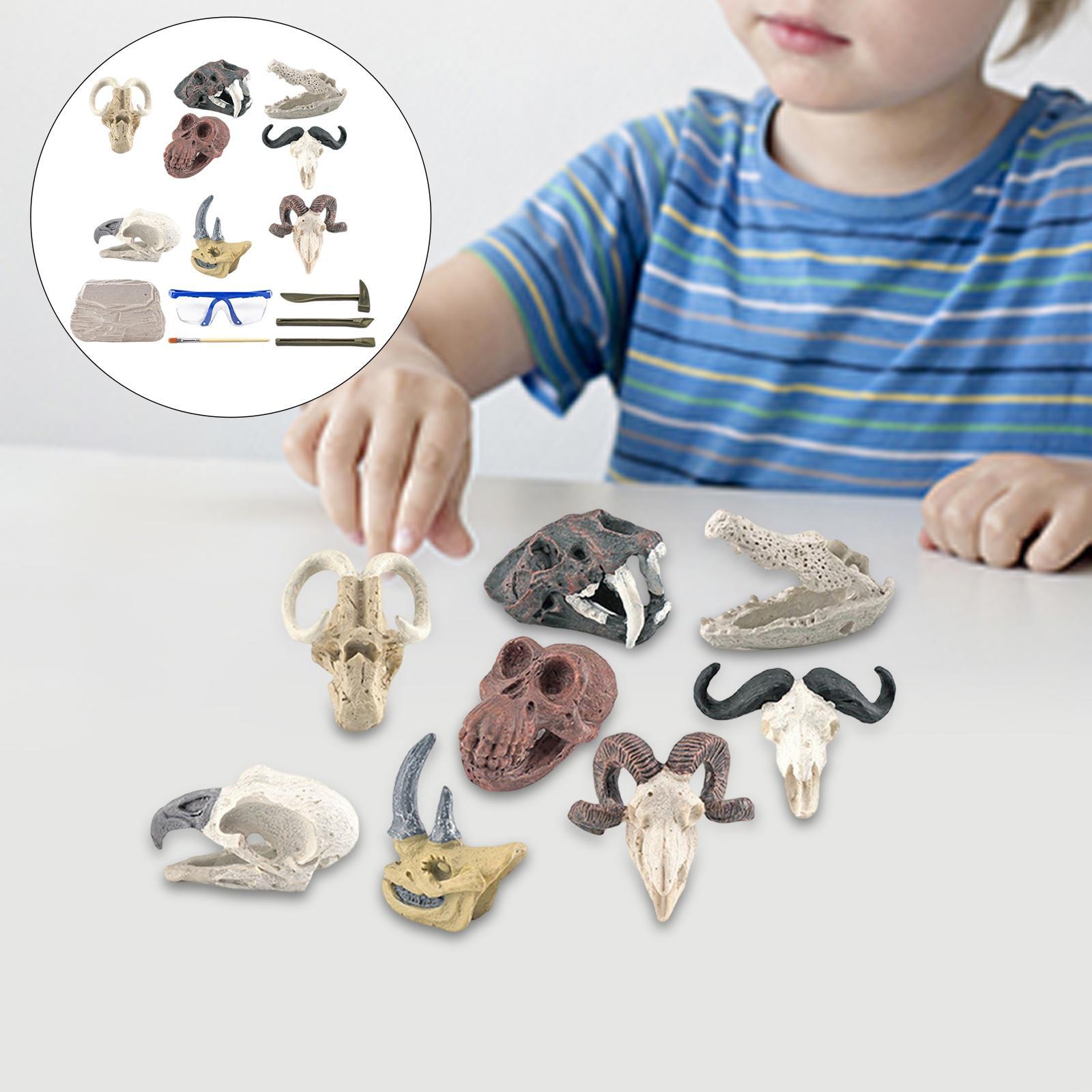 Dinosaur Excavation Kit Archaeology  for Toddler