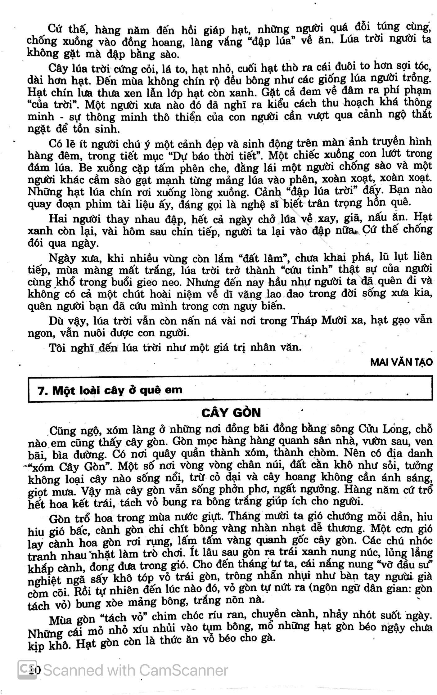 199 Bài Và Đoạn Văn Hay 9