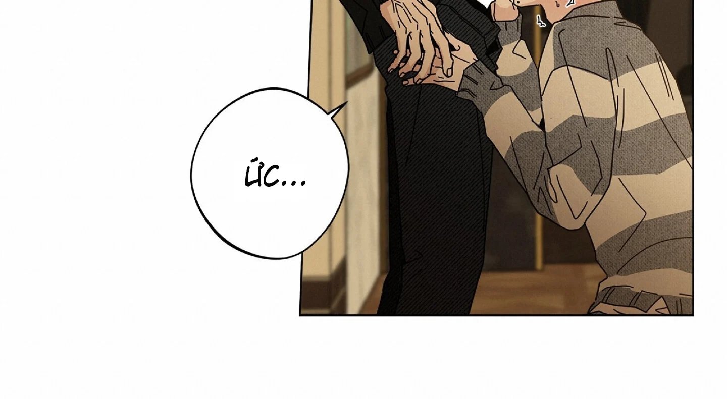 home five chapter 52 37