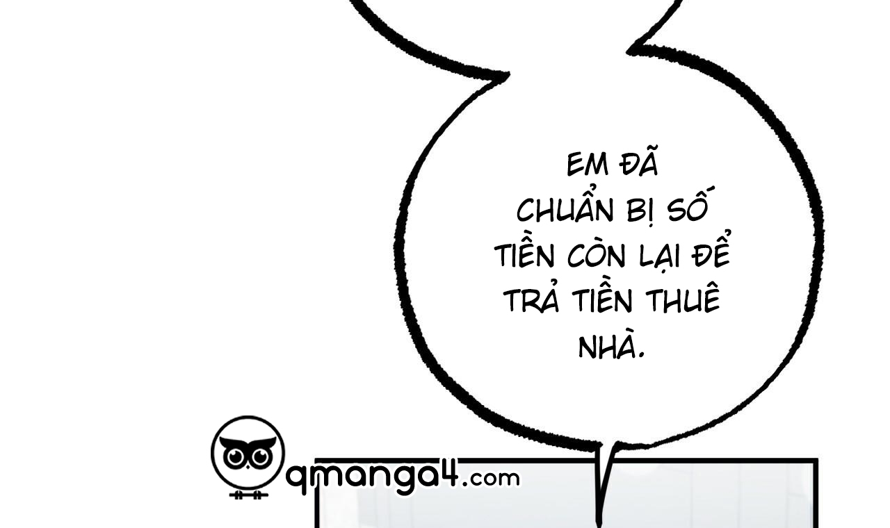 những chú thỏ của hapypy chapter 56 135