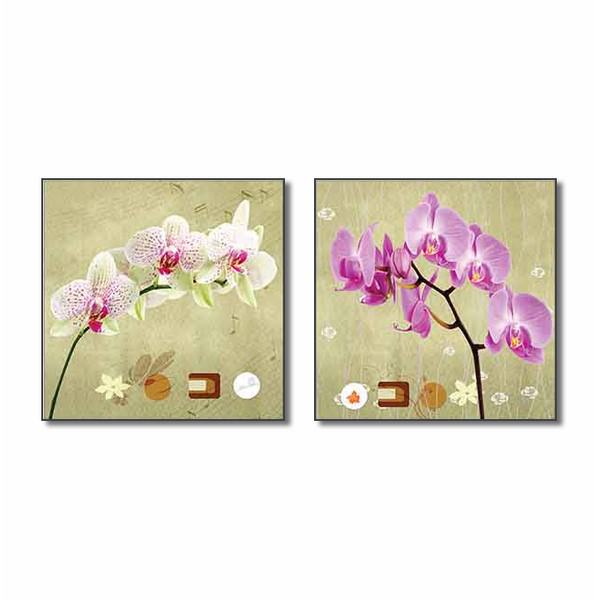 BỘ 2 TRANH Q6D11-WK690