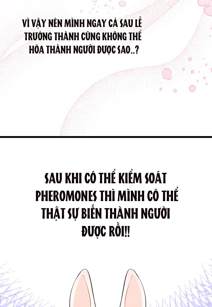 mối liên kết giữa báo đen và bé thỏ chapter 47 72