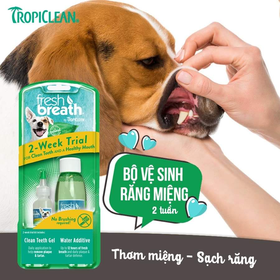 Combo Tropiclean vệ sinh răng miệng chó, giảm mùi hôi, mảng bám