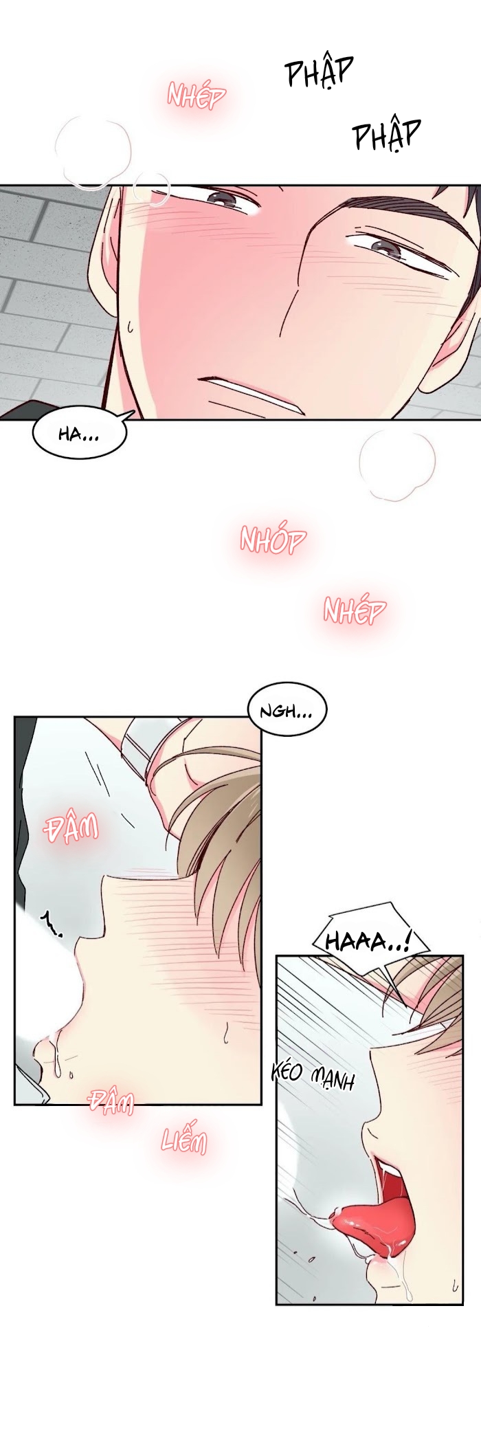 món tráng miệng của sếp tổng chapter 10 15