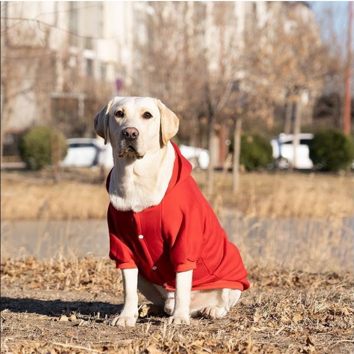 ÁO HOODIE CHO CHÓ RED AND BULL DÀNH CHO CHÓ LỚN - SP000604