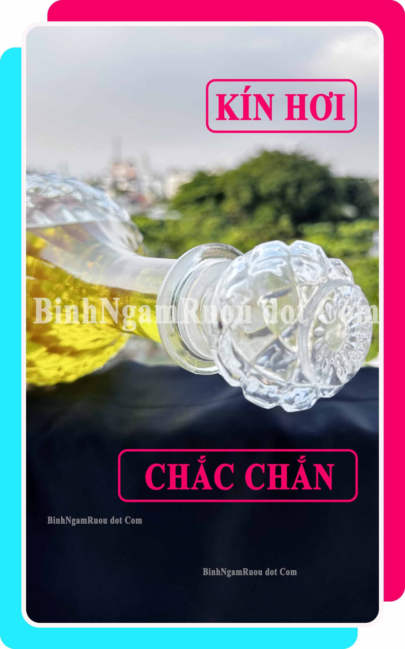 C22 Chai Đựng Rượu Thủy Tinh Tròn Cổ Cao 800ml - Đẹp Cao Cấp - Nắp Kín Thủy Tinh Trong - Tặng Biếu Sang Trọng