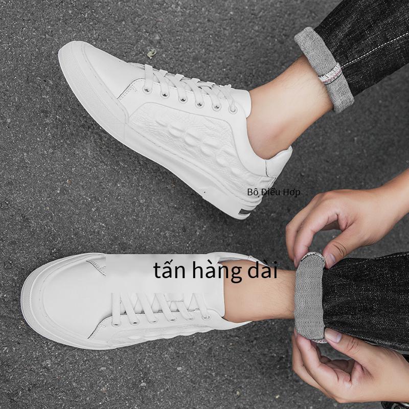 Giá Thấp Nhất Giày Nam Thời Trang Giày Nam Chống Trơn Trượt Bố Giày Xu Hướng Size Lớn Giày Nam