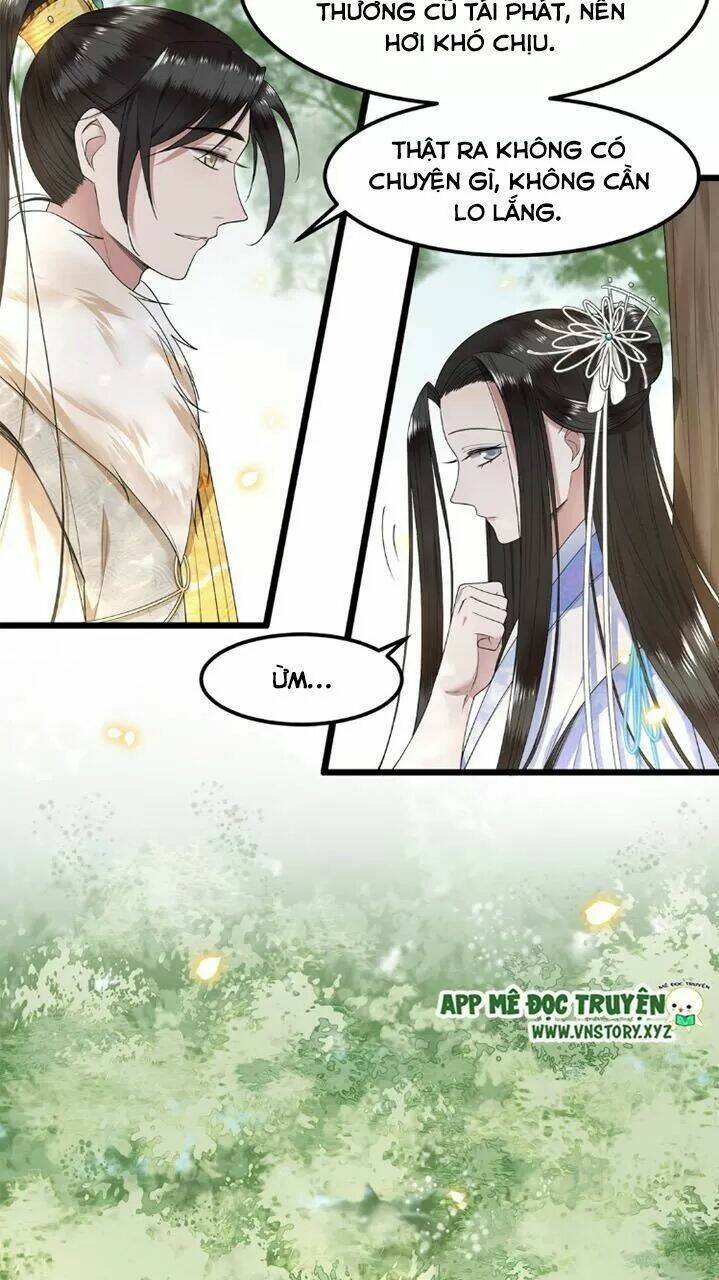 phượng hoàng vu phi chapter 49 17