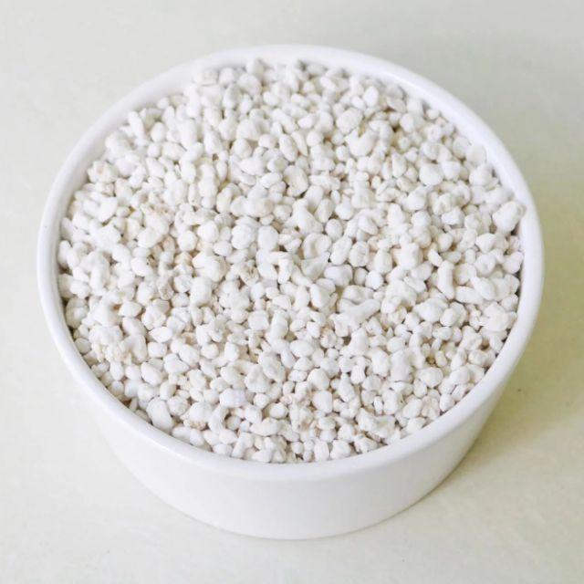 ĐÁ PERLITE TRỒNG SEN ĐÁ, XƯƠNG RỒNG